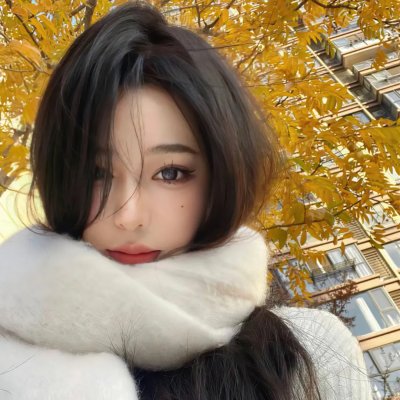 南极大冒险 海报
