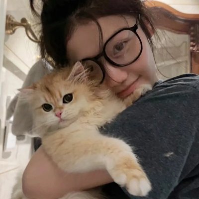 安丽小姐 海报